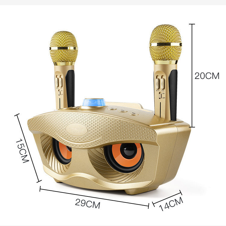 Bluetooth Dual Microphone Bluetooth Speaker Karaoke Treasure