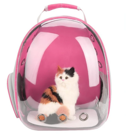 Bolsa para gatos Bolsa espacial para mascotas totalmente transparente