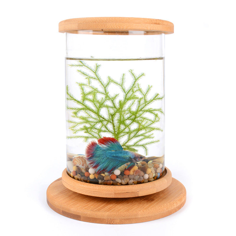 Pequeña oficina vidrio acuario base de bambú mini pecera decoración pecera