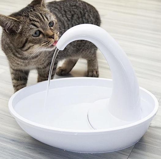 Dispensador automático de agua para gatos y cisnes, cuenco para beber