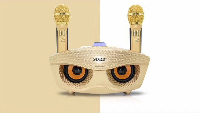 Bluetooth Dual Microphone Bluetooth Speaker Karaoke Treasure