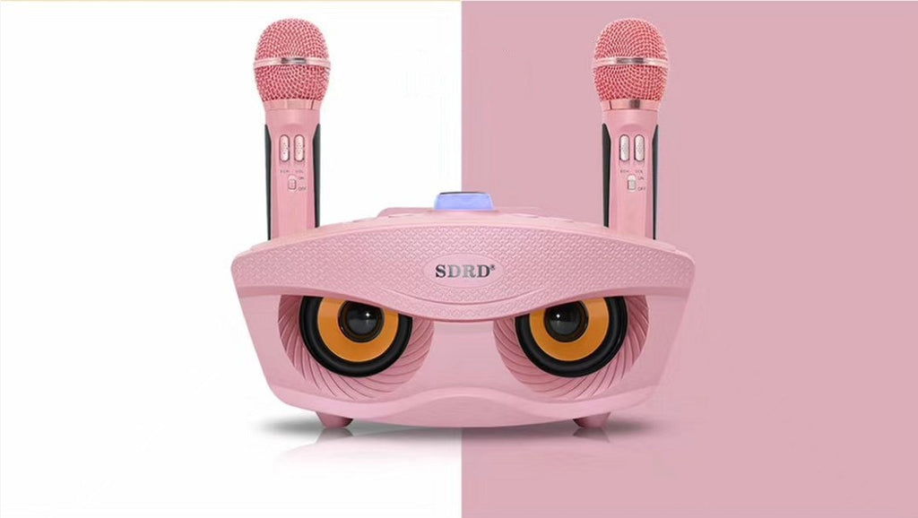 Bluetooth Dual Microphone Bluetooth Speaker Karaoke Treasure