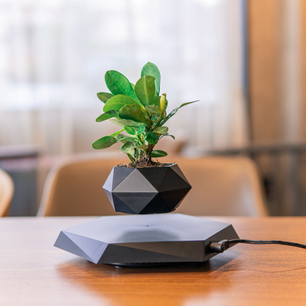 Levitating Flower  For Home Office Desk Decor Creative Gift