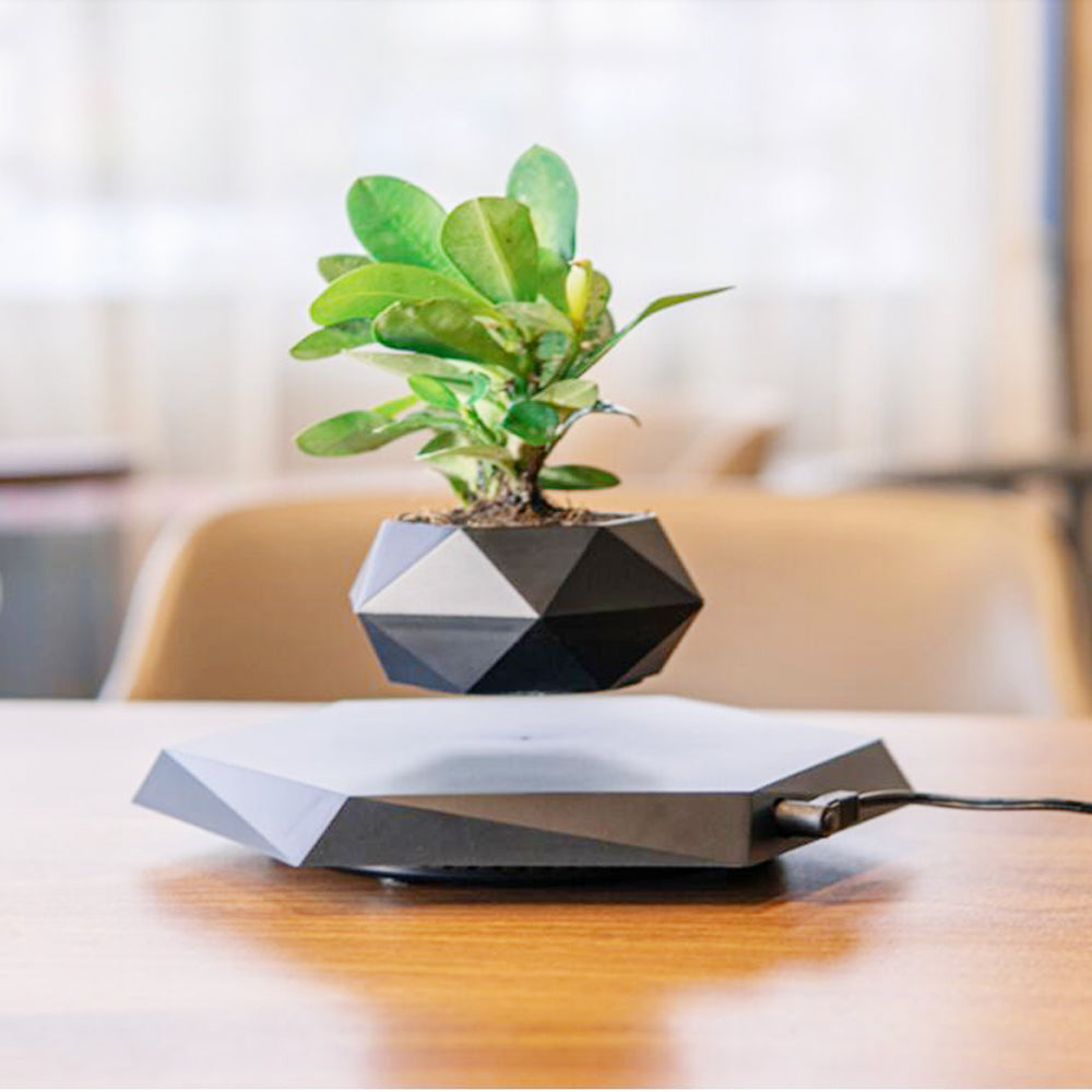 Levitating Flower  For Home Office Desk Decor Creative Gift