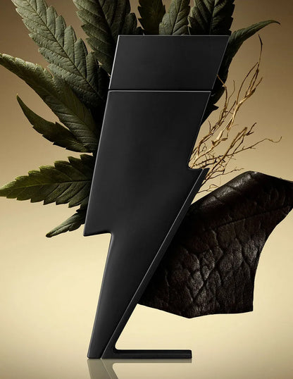 Carolina Herrera Bad Boy Eau De Toilette 100 Ml Para Hombre